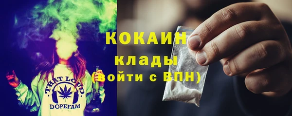 PSILOCYBIN Алзамай