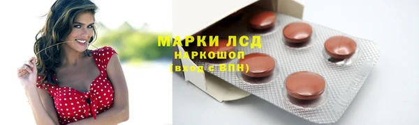 PSILOCYBIN Алзамай