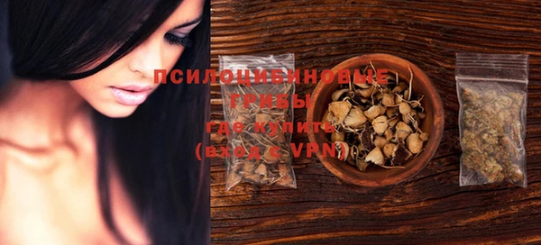 PSILOCYBIN Алзамай